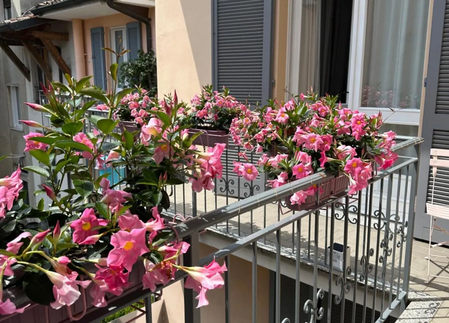 D-Place Apartment Piazza Duomo Crema 0*,  Italy